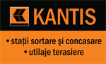 Kantis Consulting
