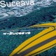 CNAIR a aprobat SF pentru ultimul sector Suceava - Siret al Autostrazii Moldovei (A7)