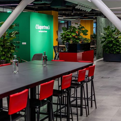 Supertree: Piata de spatii de coworking a crescut cu 20% in 2025 fata de anul trecut