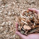 PRO BCA: Obiectiv nerealist de reciclare pentru deseurile de lemn si plastic din 2019