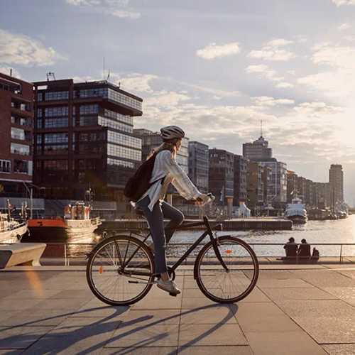 Arcadis500