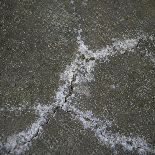 betonbiotic
