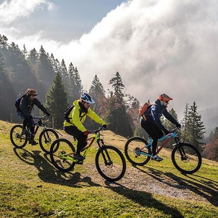 PORR si STRABAG liciteaza lucrari pentru traseu cicloturistic Timis, de 536 km